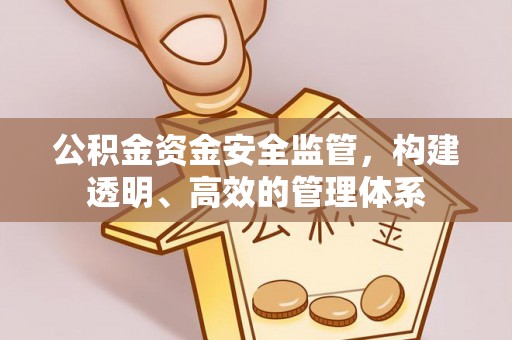 友谊公积金资金安全监管，构建透明、高效的管理体系