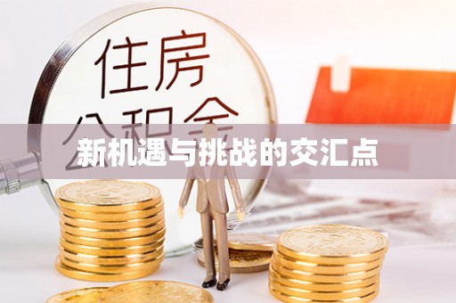 友谊新机遇与挑战的交汇点