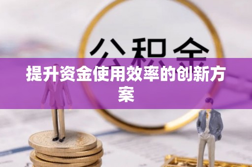 友谊提升资金使用效率的创新方案