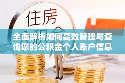 友谊全面解析如何高效管理与查询您的公积金个人账户信息