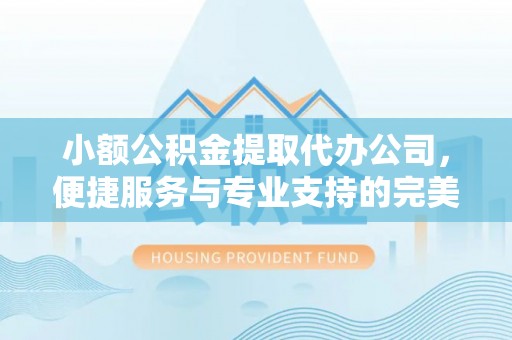 友谊小额公积金提取代办公司，便捷服务与专业支持的完美结合