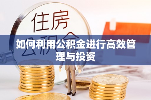 友谊如何利用公积金进行高效管理与投资